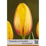 La Courtine