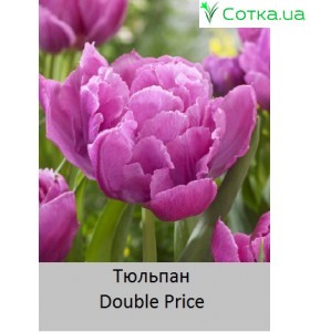 Double Price