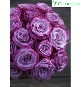 Deep Purple