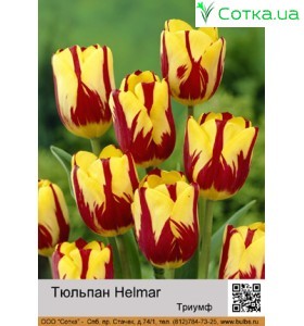 Helmar