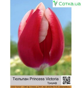 Princess Victoria