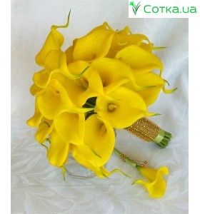 Калла(Zantedeschia)Lemon Drop