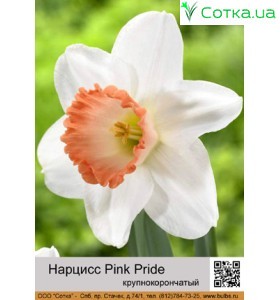 Нарцис крупнокорончатий Pink Pride