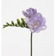 Фрезия (Freesia) Algarve 