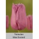 Max Durand