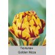 Golden Nizza