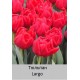 Largo