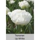 Up White