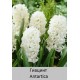 Antartica