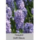 Delft Blauw