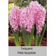 Pink Surprise