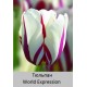 World Expression