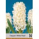 Гиацинт White Pearl