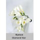 Diamond Star