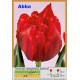 Тюльпан Abba