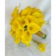 Калла(Zantedeschia)Lemon Drop