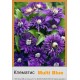 Клематис Multi Blue