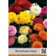 Лютик paeony flower mixed