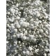 Гипсофила (Gypsophila) Bristol Fairy