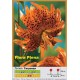 Тигровая махровая лилия Flora Plena
