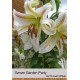 Східний гібрид горшечний Garden Party