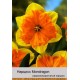 Нарцис Mondragon
